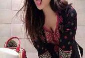 Sexy Vijay Nagar Call Girls 🌹 Russian 🌹 College Girls 🌹 Housewives 🌹 Models ✅ Hotel Service Available ✅ Cash on Delivery ❌ No Advance
